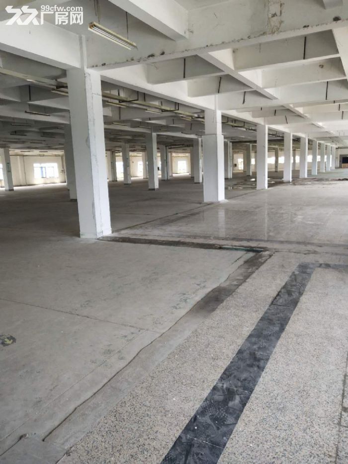 ：   集美区天马路附近办公仓储8000平招租-图2
