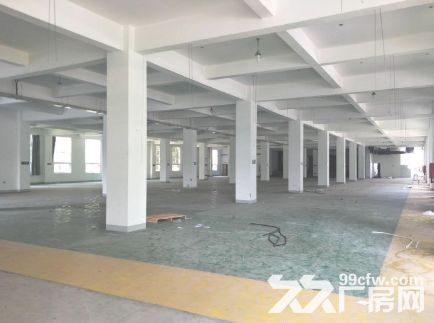 海沧区海景东路5层厂房480&minus;2800平招租-图4