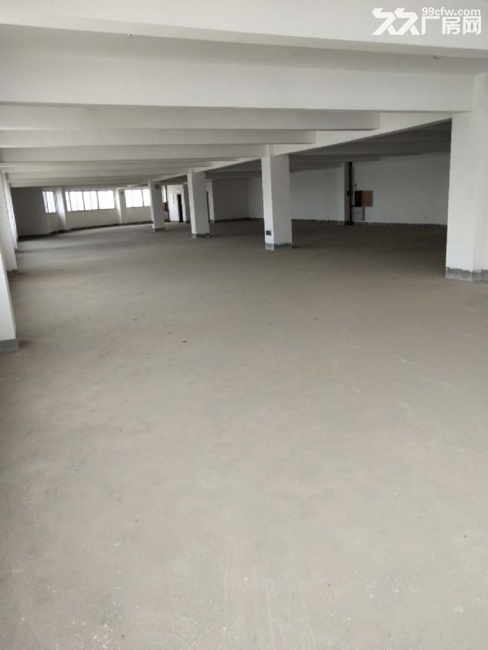 出租海沧东浮标准厂房7层每层710