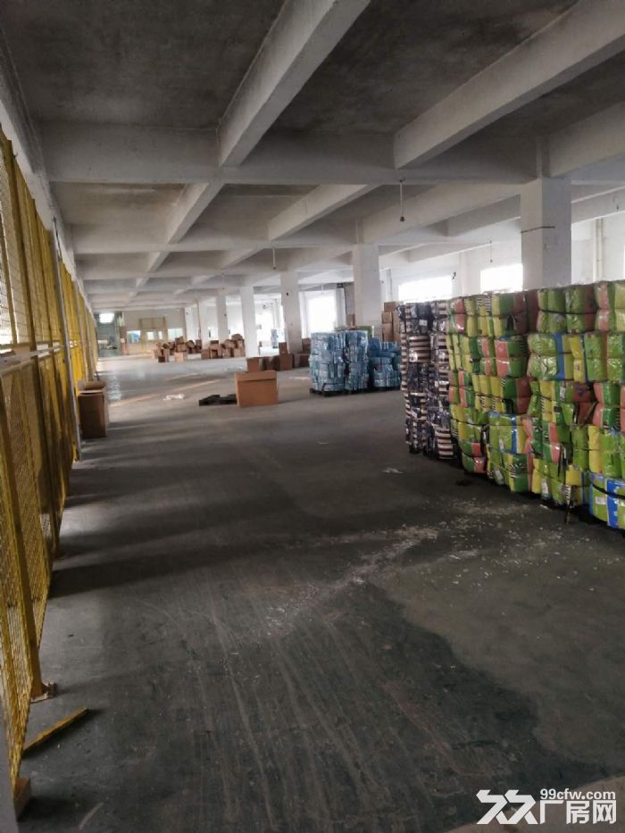 杏林标准厂房二楼1600平出租