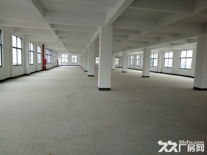 同安食品园1楼2楼每层2300平-图2