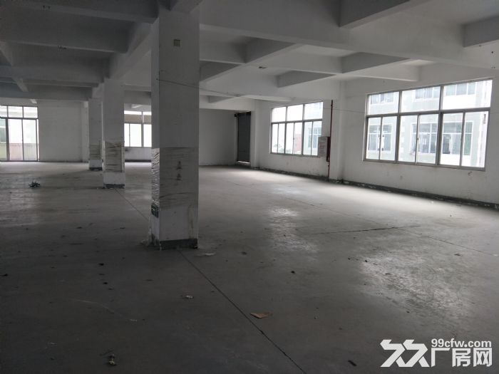 杏林工业区850平出租