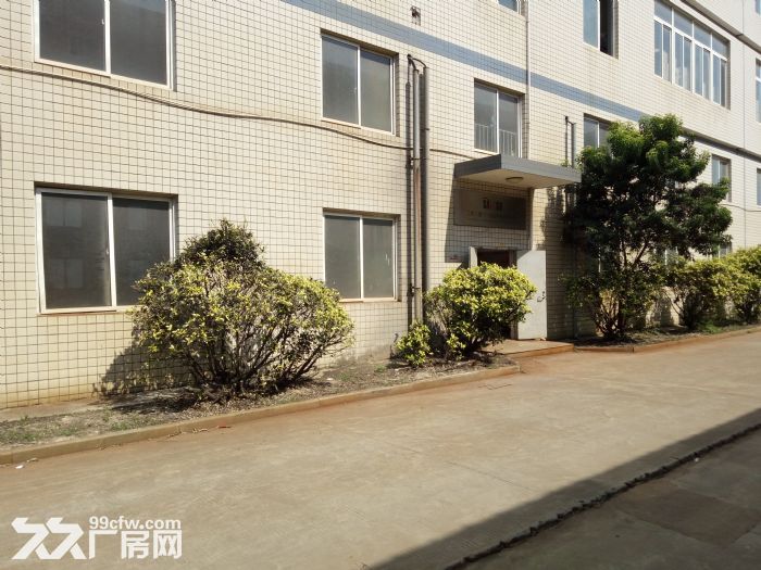 巷北工业区1楼700平出租-图2