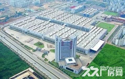 海沧区标准厂房2000&minus;90000平方出租，可分租。-图3