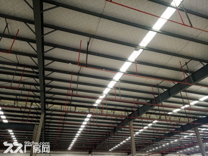 标准厂房31000平，钢构29000平，钢构15000平，钢构12000平出租