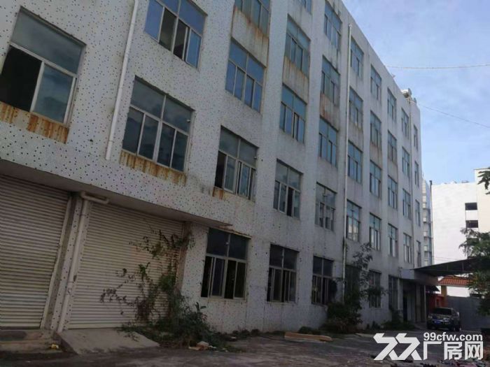 岛内稀缺房产独门独院5层3500平加院子空地800平出租