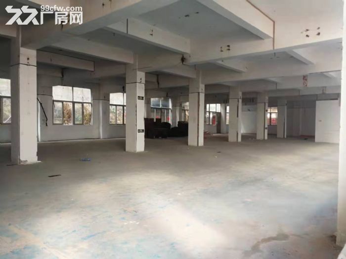 岛内稀缺房产独门独院5层3500平加院子空地800平出租-图2