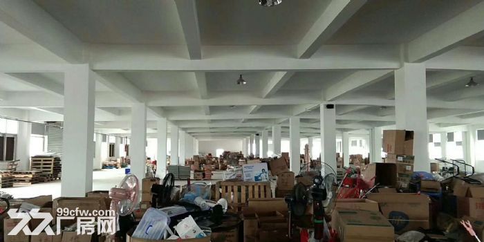 杏林独门独院标准厂房10000平出租