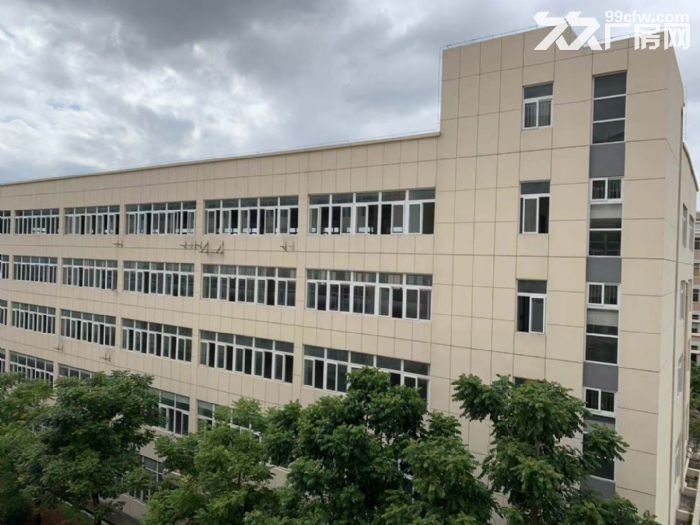 出租海沧马青路附近标准厂房两栋，单层2000，4800平出租，