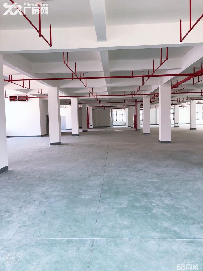 出租集美灌口单层1000平，2000平，5000平，环评可过