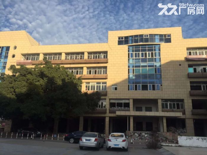 湖里大道附近5层每层4000平厂房招租