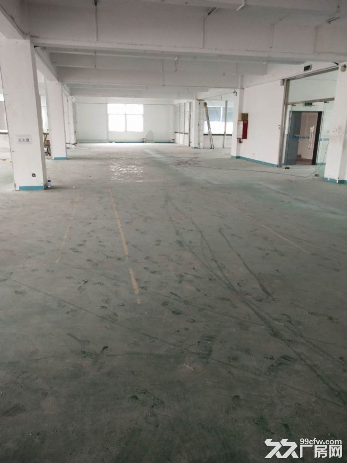 翔安巷北工业区标准厂房1楼2楼各1600平出租