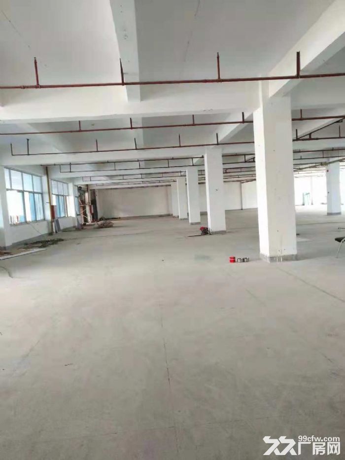 出租集美环东海域思明园标准厂房2000平11元一平起