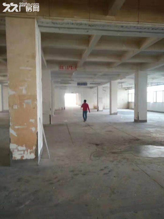 海沧新阳工业区标准框架一楼厂房出租，面积3000平方米，层高5.5米，带卸货平台-图2