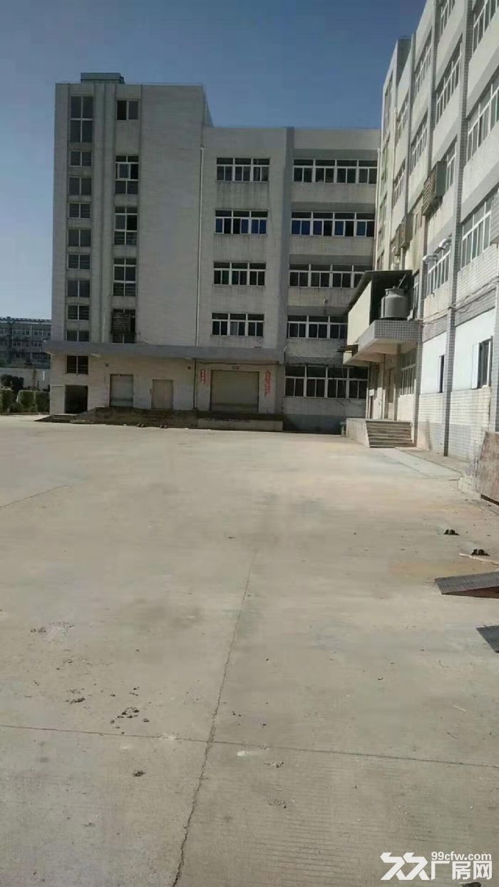 海沧新阳工业区标准框架一楼厂房出租，面积3000平方米，层高5.5米，带卸货平台