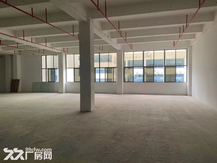 厂房 办公 仓储 加工等各种行业 各类面积都有-图6