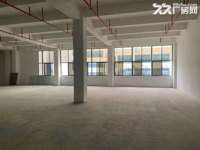 整栋可出租 一楼2300平 有卸货台 大车可进 行业多样-图4