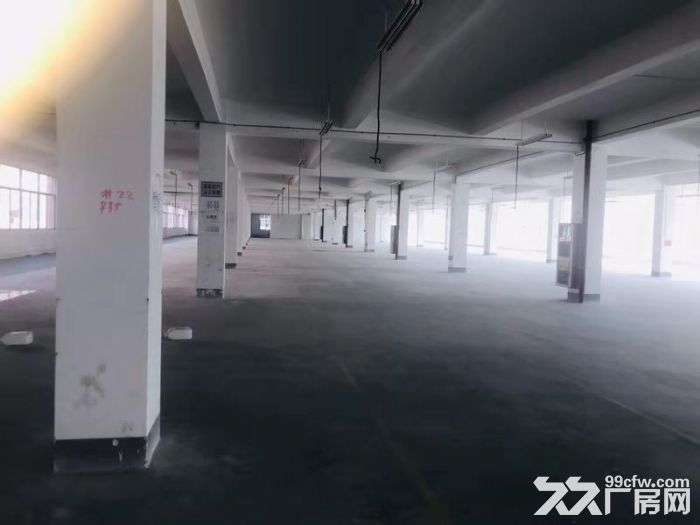 海沧中仓工业园标准厂房 4000平米出租1楼1500平-图3