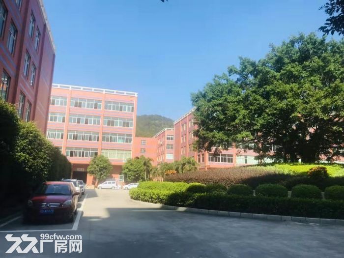 海沧中仓工业园标准厂房 4000平米出租1楼1500平-图2