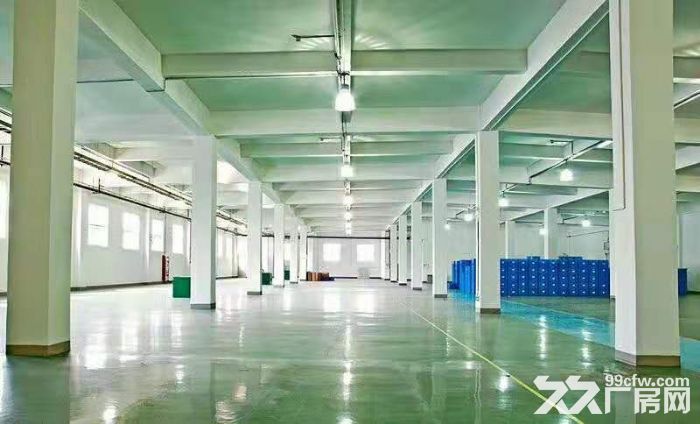 翔安火炬二期园区内厂房出租四五六楼每层1919平方