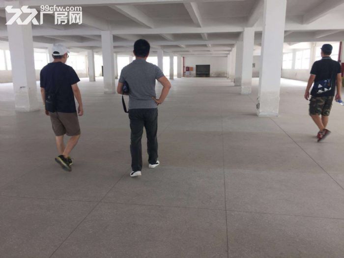 翔安火炬园火炬三期整幢6层 7000多平 分租