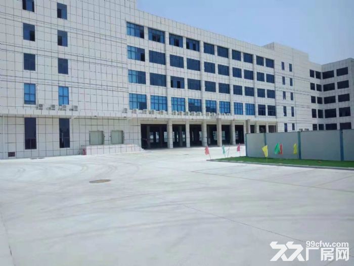 翔安洪溪南路 厂房 5000平米出租-图2